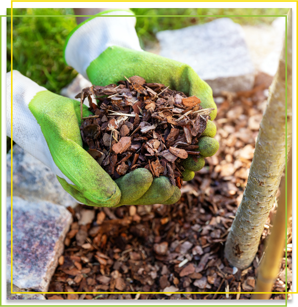 Hardwood Mulch Installation Charlotte, NC 4th Generation